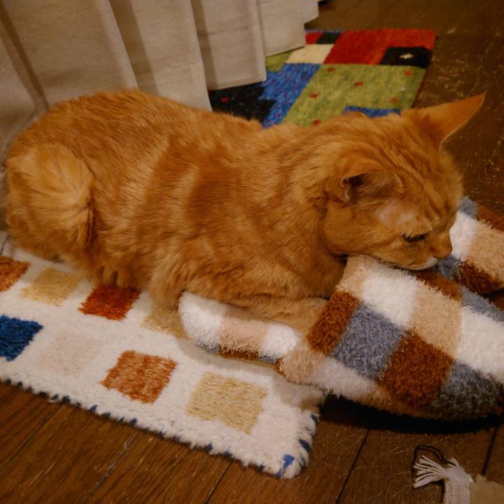 7cd588e2 4852 4dcc 8caf 32474ab5c279 1735558113952