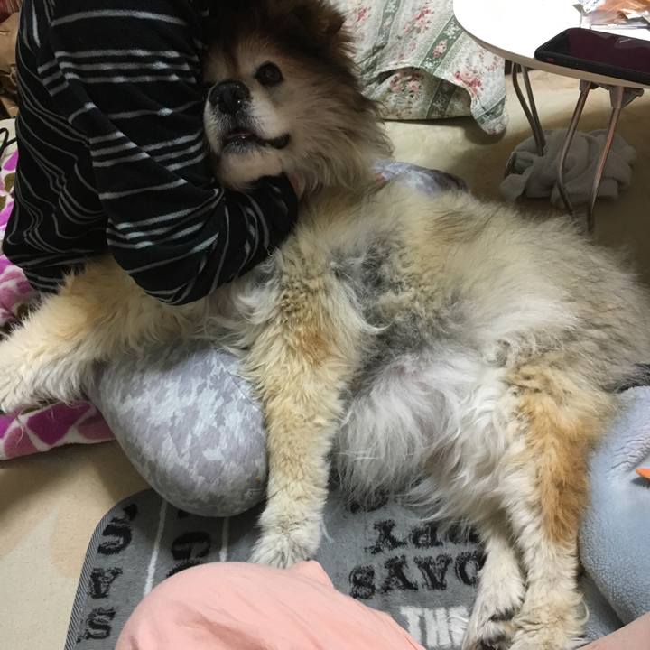 7cd5a766 509c 4505 8a0f dca2cda172cd 1555886135564