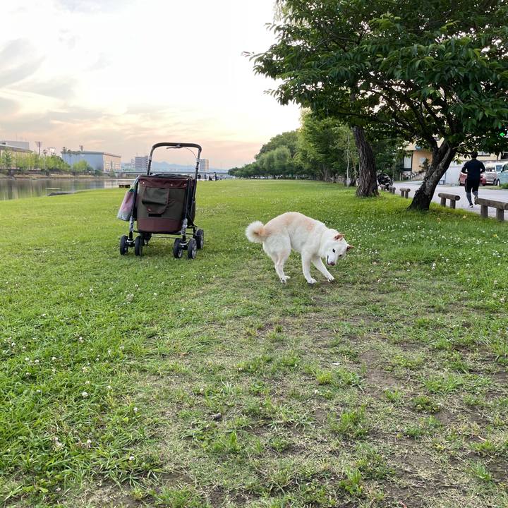 7cd5cd2c d2fc 4838 bb37 dbc7096b7a47 1653996477142