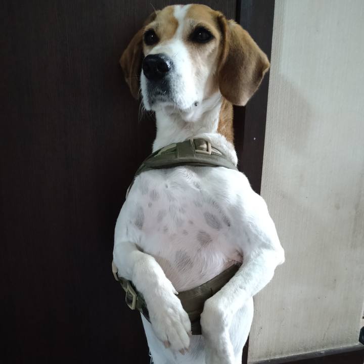 7cd65cea cc9b 4356 a6e1 19b181b896dd 1672664107479