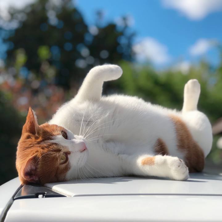 7cd65f9e ba3c 4aa5 86eb 2f50dd7adbc2 1572843345502