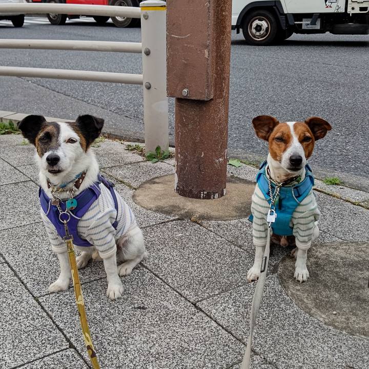 7cd66776 5679 4828 b9f9 f4c6181594ae 1654206646864