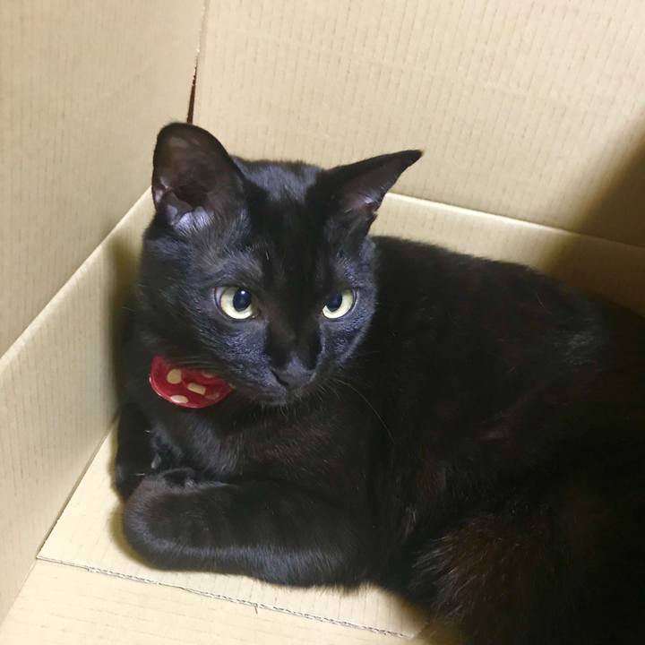 7cd67c26 0669 45ac 9561 5db00b659acd 1514467273191