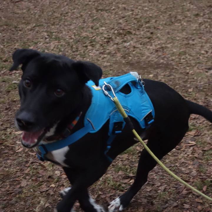 7cd6c0ff 160c 429c 89eb cf27dc557d90 1610669122831