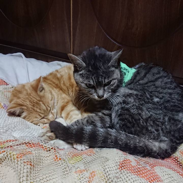 7cd70707 7785 482d 9698 887f5570a29f 1587040768218