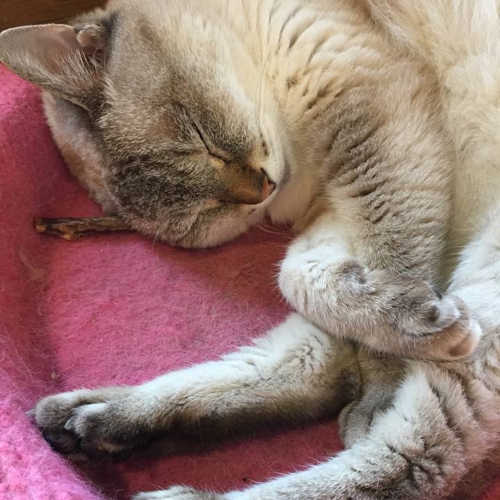 7cd750e5 0a49 4007 a6dd a4672bb4b257 1563523077003