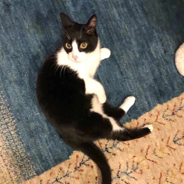 7cd77b85 6dd3 47b3 84f1 7b756b6d18e5 1576587328623