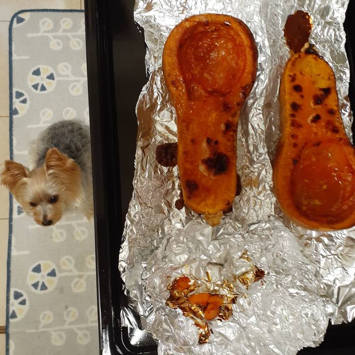 7cd79cc8 d5bf 4ea0 bf95 57e8eb9fa64c 1635751605737