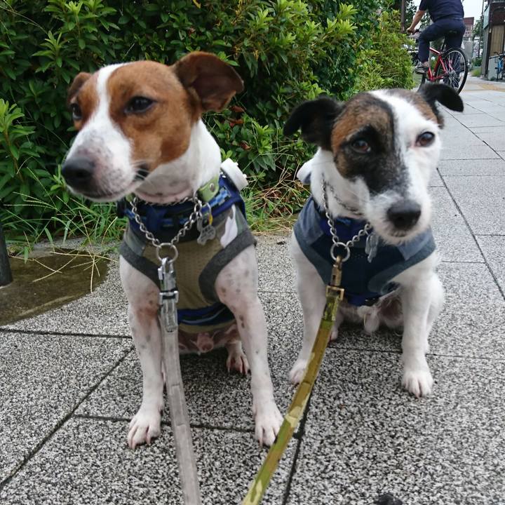 7cd7ad4f 1ccd 4996 96bf abab4a425a36 1567114759966