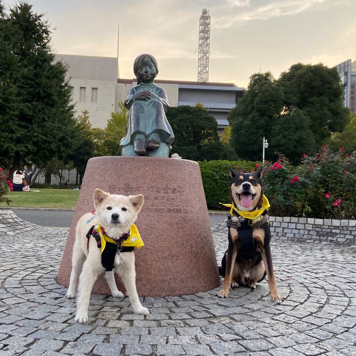 7cd7c7b8 02ec 4063 a847 a0dab858a12b 1699290927160