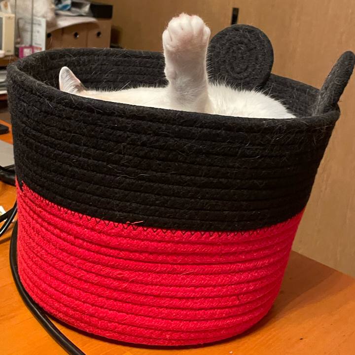 7cd7e5c5 de52 4491 836a db435efe0bd9 1743169777333