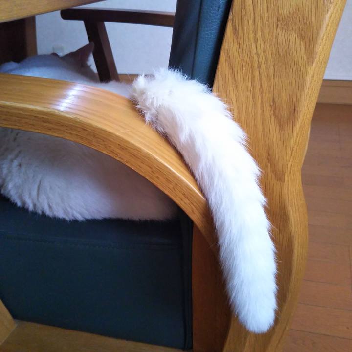 7cd806f6 36e7 4857 97d7 8af0d0b3d4a2 1532393869521