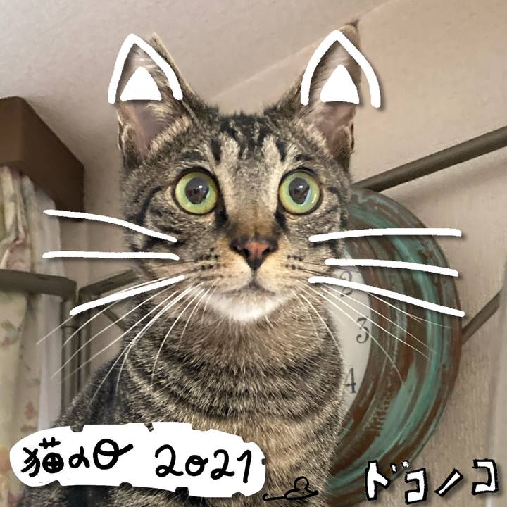 7cd81cbb 9d4f 4da9 bc29 1318c6e5b9a1 1613997899663