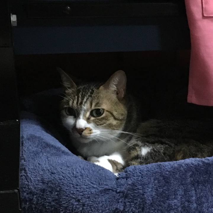 7cd81fa7 8c92 427a 8761 3f03f48d1770 1527604865818