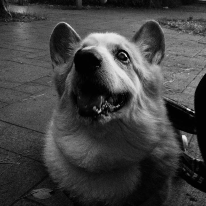 7cd83fb5 8ba6 43ce bc44 0c5d091780b2 1625013815656