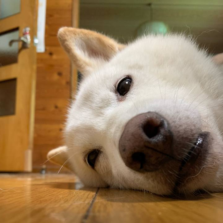 7cd85808 e7aa 4446 9cb3 b531e591fded 1660685773888