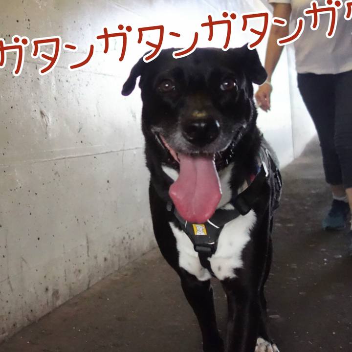 7cd8a189 262a 4cac a957 6db7515d3466 1661557858963