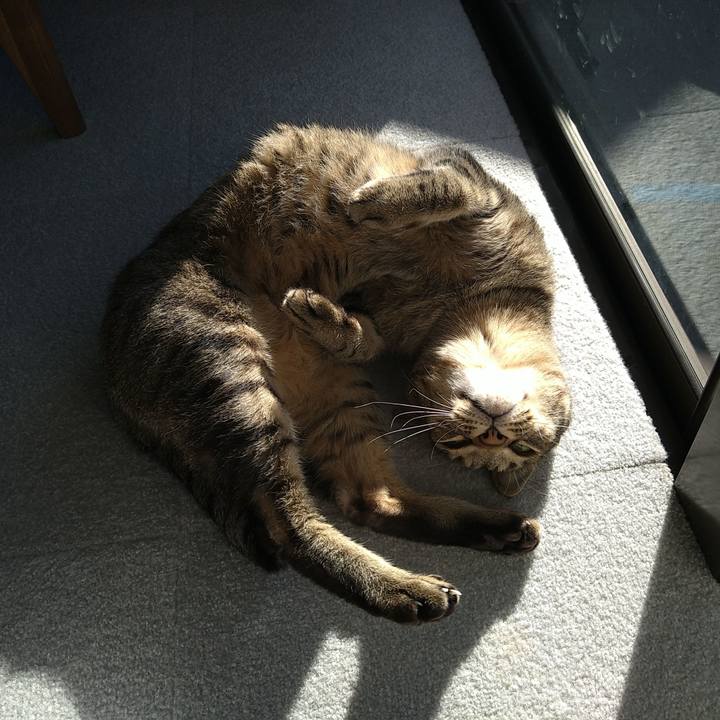 7cd9133a b96a 4b2b 8e23 e34cb09f0c55 1702795791200