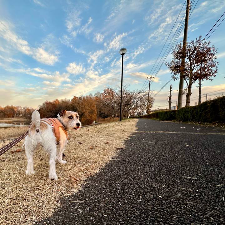 7cd96295 f336 4342 a921 159322e8b672 1735358027634