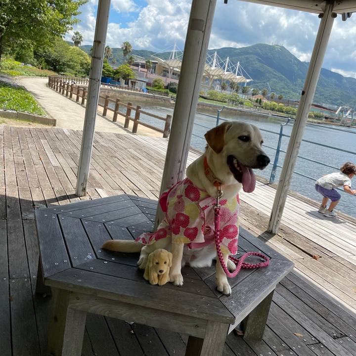 7cd9a69c e8a9 4782 abfc 65808cf76b69 1628316833733