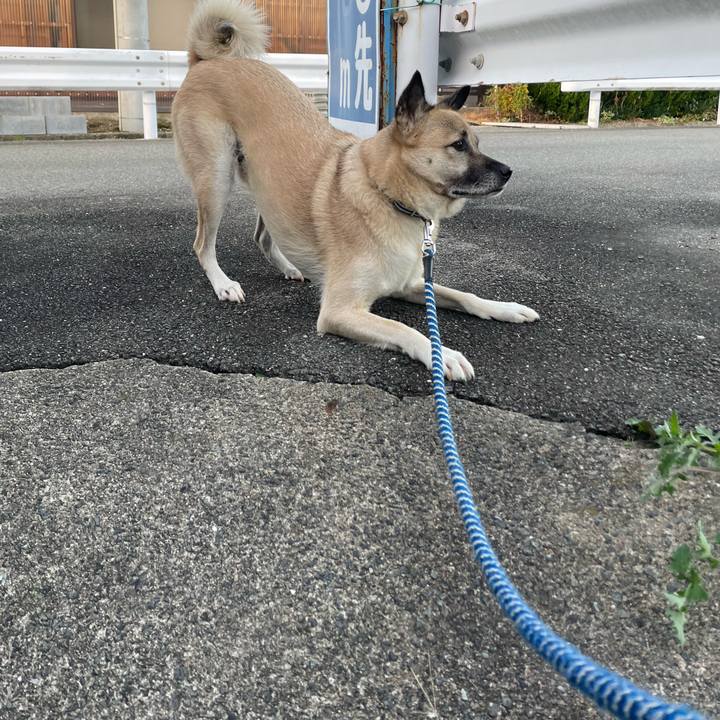 7cd9f090 3e9a 4566 ac80 c9c8b1096c5b 1668431447845