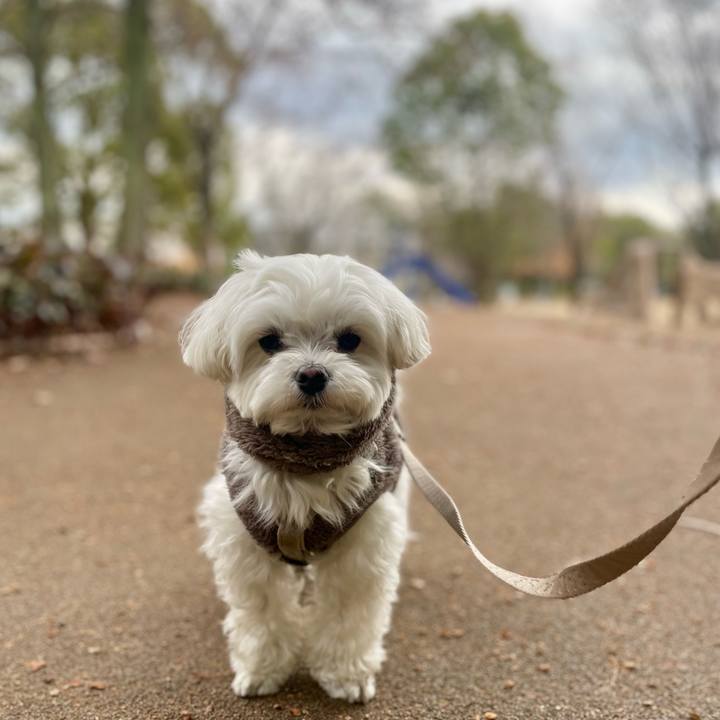 7cd9fed1 60ce 433a 9f00 b5d7474da9a9 1770936433283