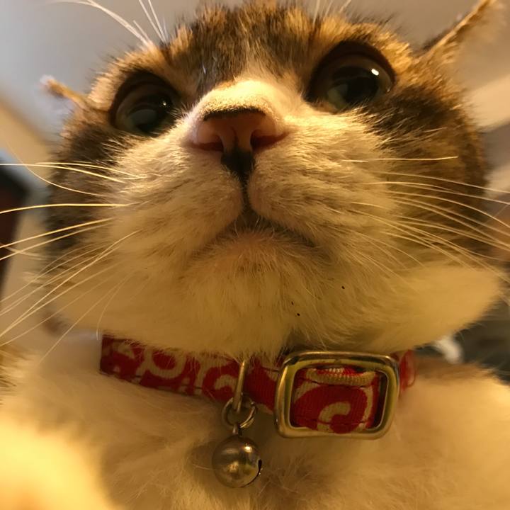 7cda2a20 fad4 4a66 9b6a 035ecef21e13 1562660496025