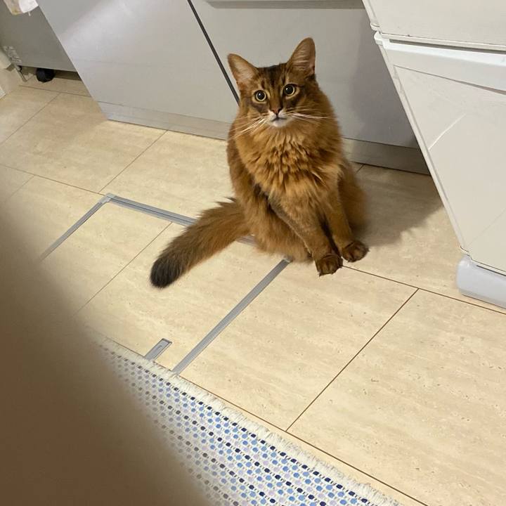 7cda5547 0c34 43a3 8ee1 a68003168963 1657761423702