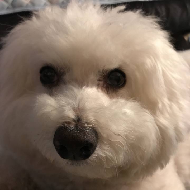 7cda7dfc 68d5 4c8a 88b6 ffc0462b1291 1558341287890