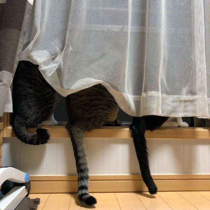 7cda8477 cffc 4272 930c 0fd5ba58fba6 1569143678790