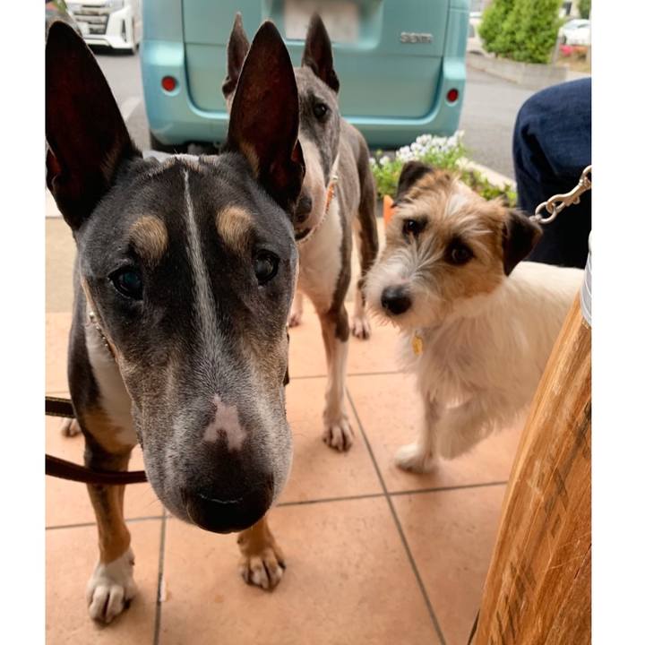 7cda8617 58a8 4772 a872 93295e8520f4 1591450050199