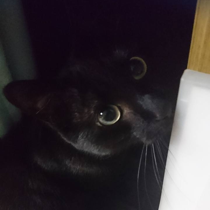 7cdac085 0897 4a92 af3a 4745bafc3a06 1624960349643