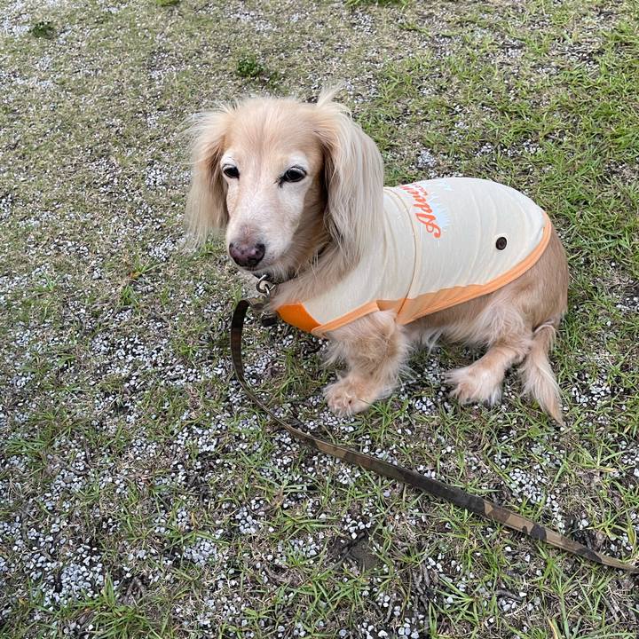 7cdb1522 f785 4a1f b8c3 fd68a64c0553 1655044825579