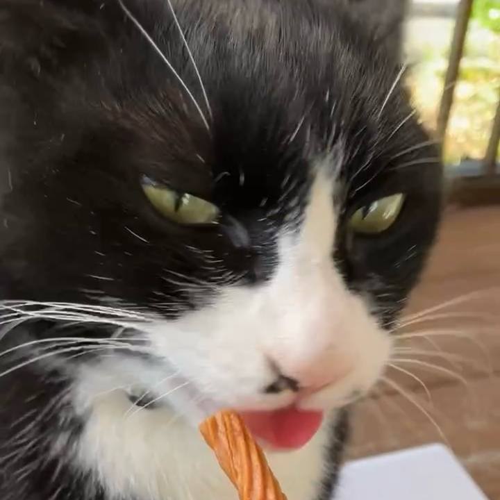 7cdb1dbb 2833 40d5 8508 793294b7d623 1733108768439