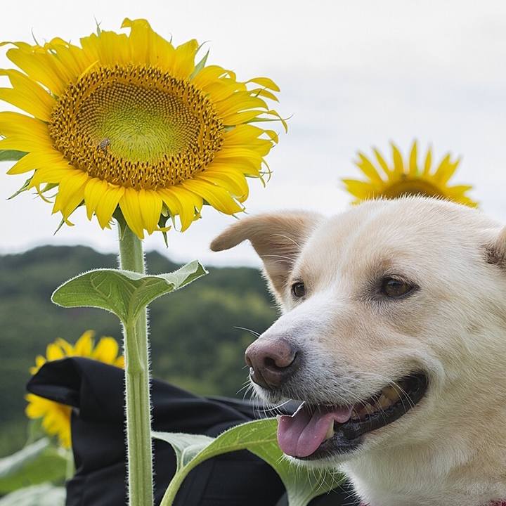 7cdb3a7e bd87 444f 988d 6483fc9dbada 1534441862034