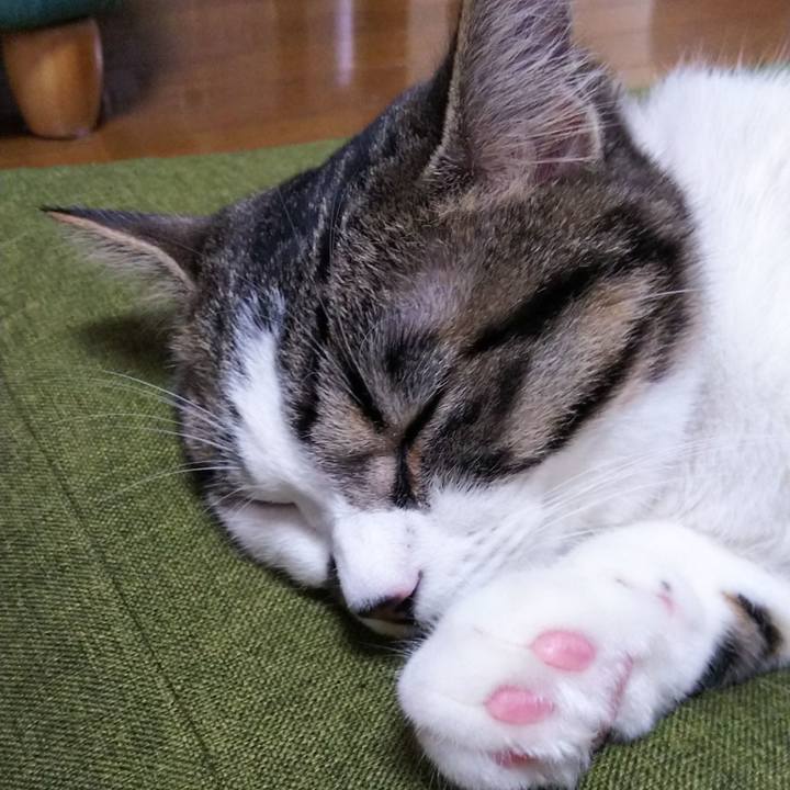 7cdb3e9b e810 4748 88da 87a6aaec8c89 1620534091251