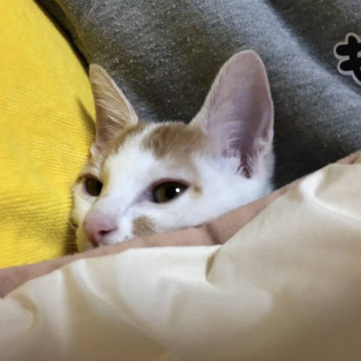 7cdb3f01 4ce9 4865 8869 6135eec4cbd2 1769444790078