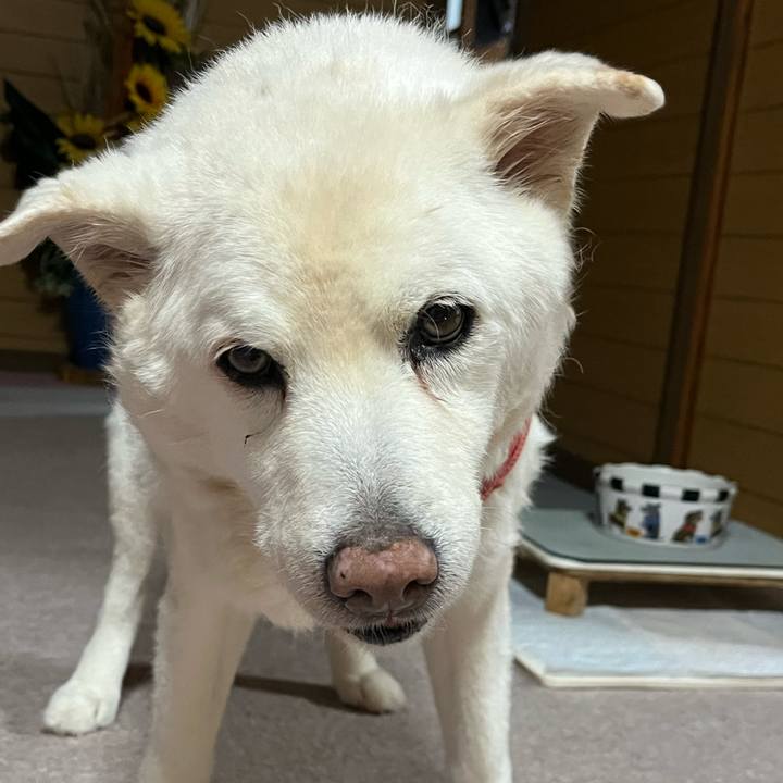 7cdb40f5 456c 4630 8b2d d2095adda8c4 1768954696334