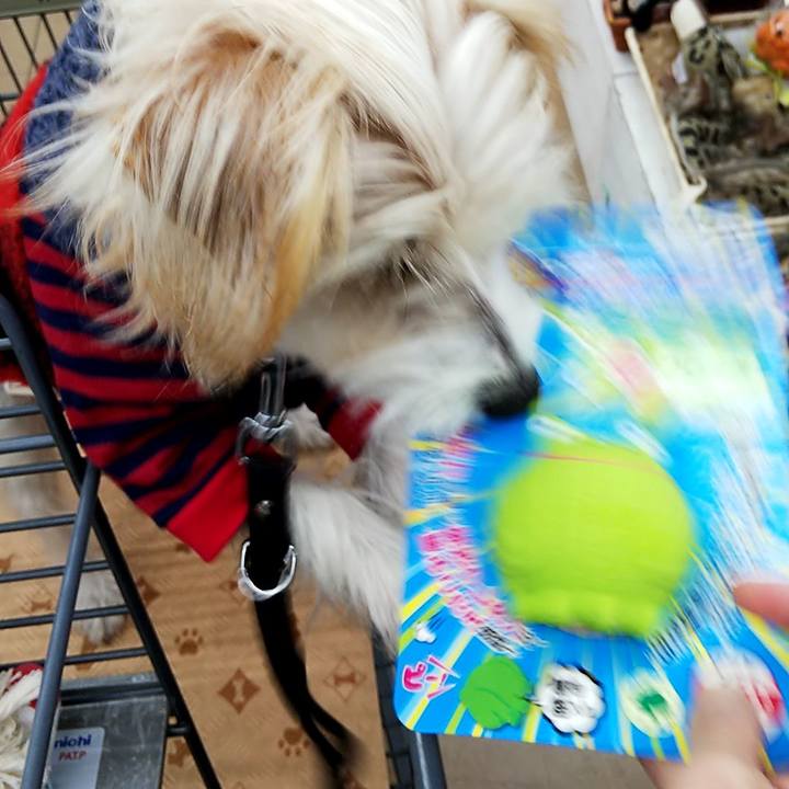 7cdb6277 0339 4738 98e0 58728d1a94ed 1544944854469