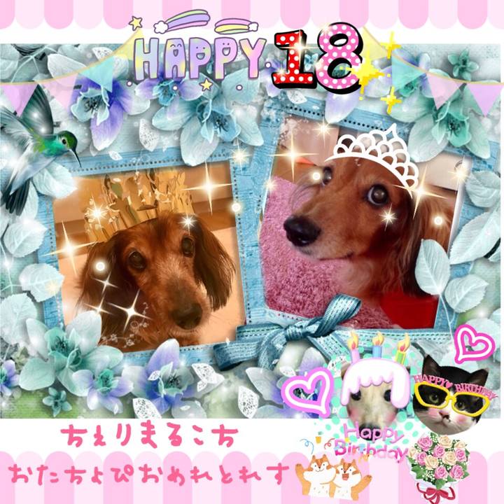 7cdb72a2 9c18 4a0a a3e9 9bcff7fe14a9 1508421505901