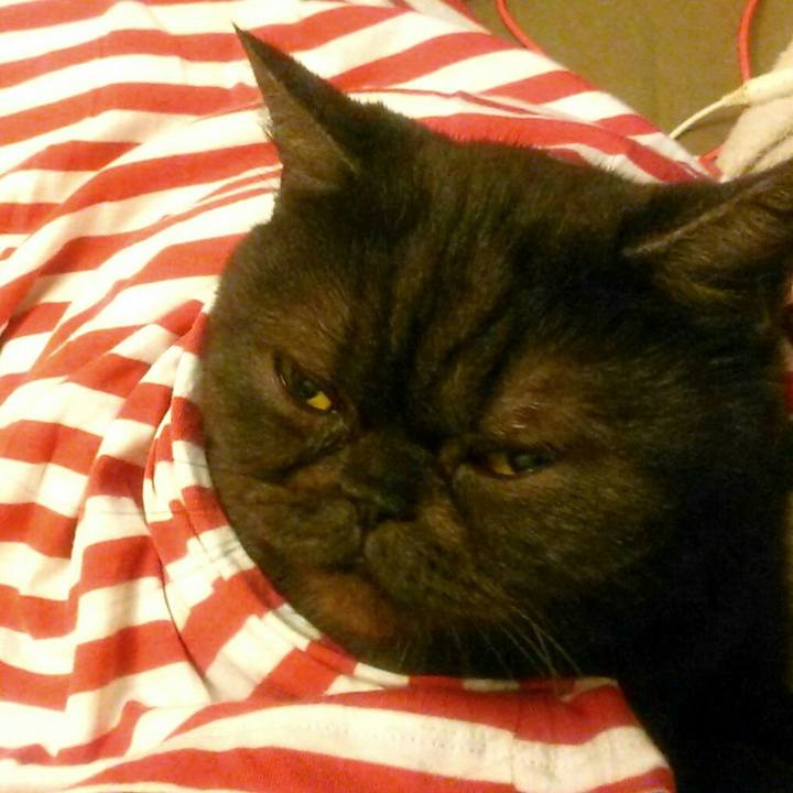 7cdb7f14 0f5b 497b a2e0 6e8470b9bc51 1568623996609