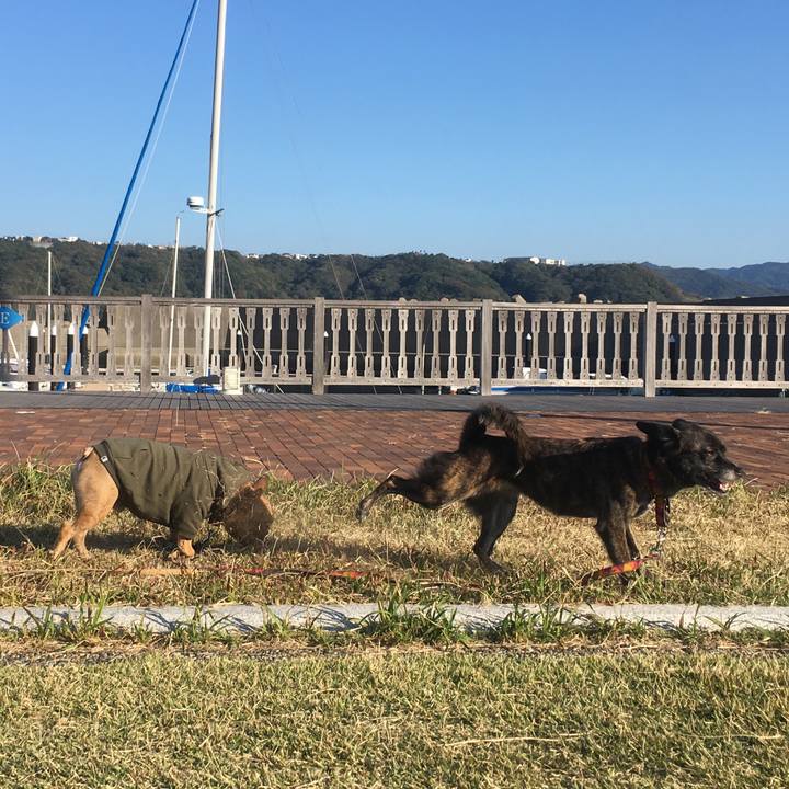 7cdb9310 0084 44c7 aa13 a072228ebc63 1541516700248