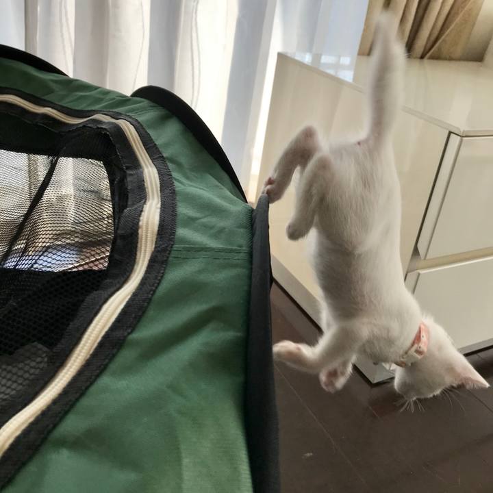 7cdbb1bb be45 41d2 96db 5b1b59a13f4f 1565005919317