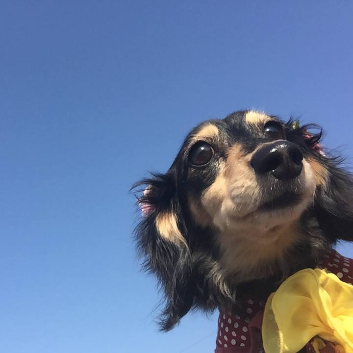 7cdbd098 b80e 4586 8283 bdc68f57d592 1520986391012