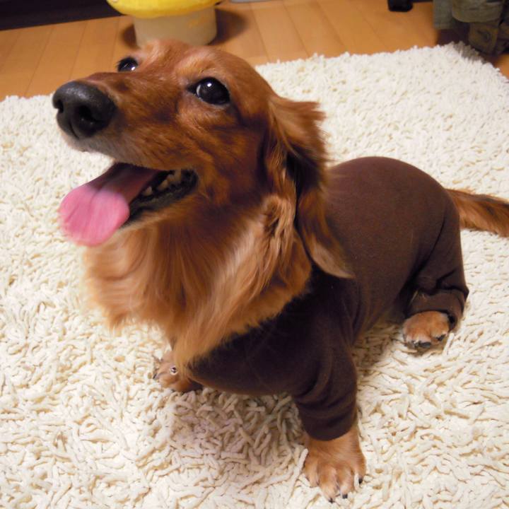 7cdc42d4 50fb 4818 8f5d 002d8983420a 1536000965129