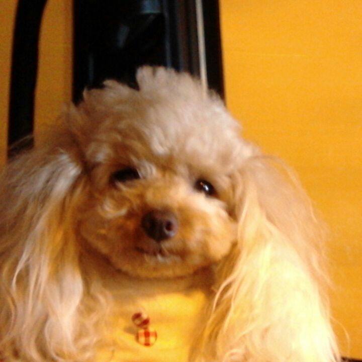 7cdc4cf5 ce91 429c 9f82 d4edd275f1e3 1527945370729