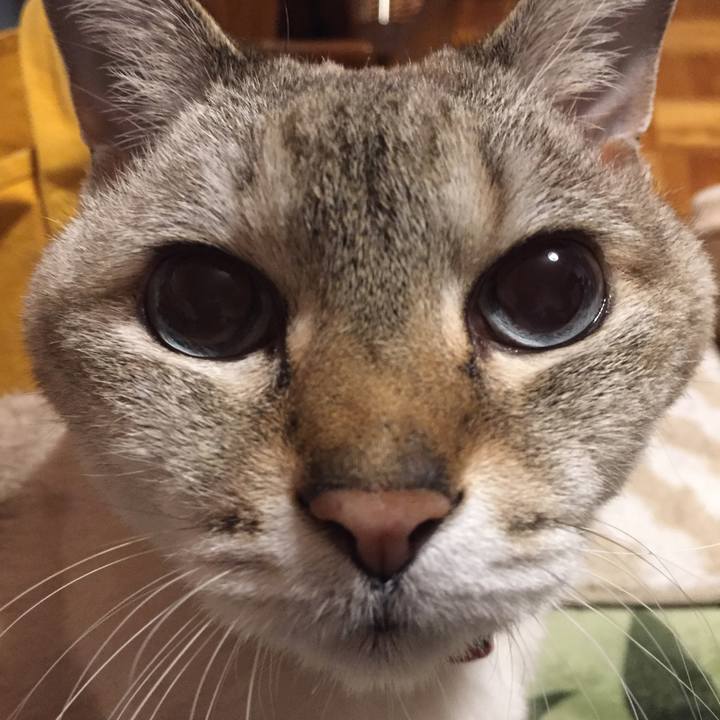 7cdc4e5f 64ab 4fcf b5a8 bd9d7d09afc4 1587044219687