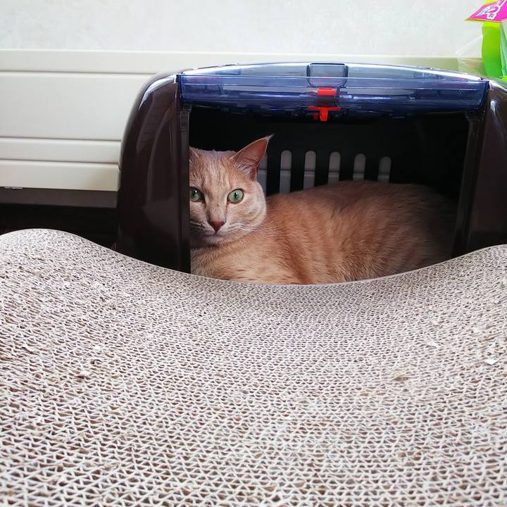 7cdc5c65 3849 430b a605 4c35124275e9 1628395624342