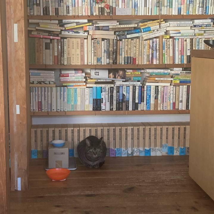 7cdc6647 47d3 42c2 a748 f74524a3edbc 1714864901678