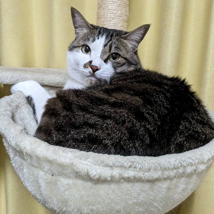 7cdcab5c 31ca 424b ae19 4f8eee90903f 1712838429914